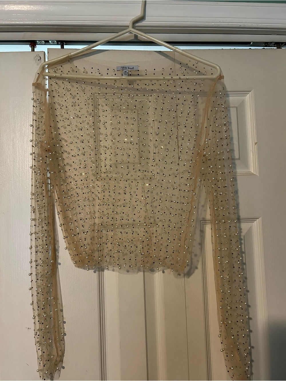 white birch Nude Sheer Beaded Long-Sleeve Crop Top